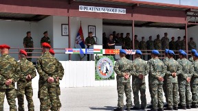 Vežba "Platinasti vuk"